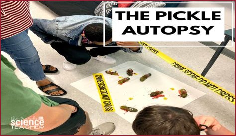 Dill-emma Solved: The Rise of the Pickle Autopsy Craze