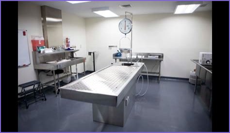 Inside the Autopsy Suite: Your Guide to Becoming a Technician