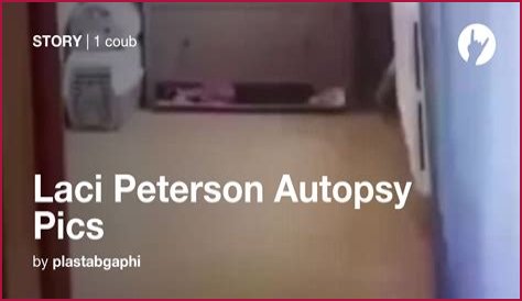 Laci Peterson Autopsy Photos: What the Sealed Records Reveal