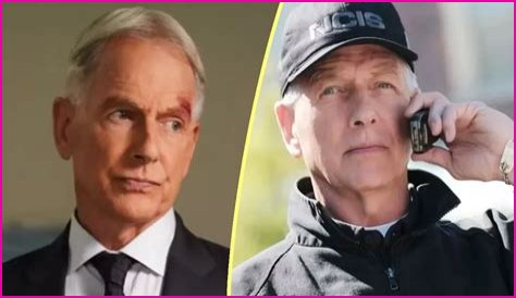 NCIS Season 12 Autopsy Secrets: What Gibbs Missed?