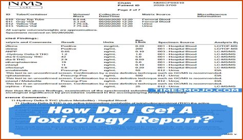 Twitch's Autopsy: Toxicology Report Reveals Surprising Findings